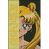 Sailor Moon Yellow