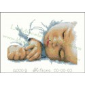 Birth Record - Newborn