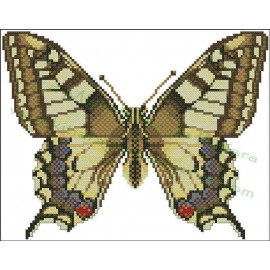 Mariposa Papilio