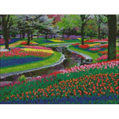 Jardin de Tulipanes