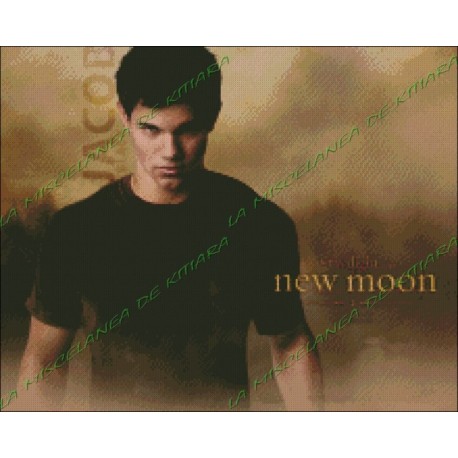 Jacob Black - New Moon