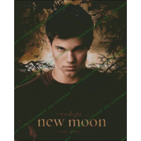 Jacob Black - New Moon 2