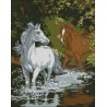 Horses in the River