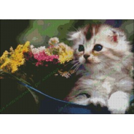 Gatito con Flores