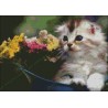 Kitten with Flowers