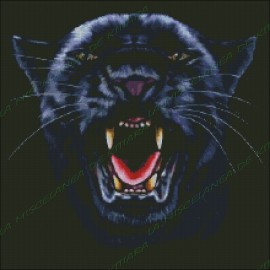 Wild Panther