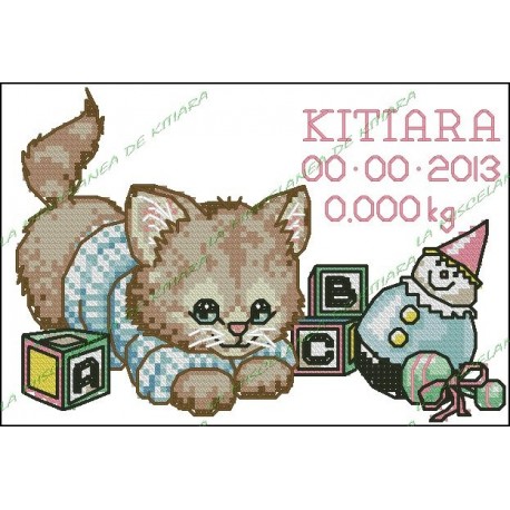  Birth Record - Kitten with toys
