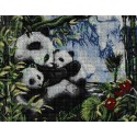 Familia Osos Pandas