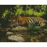 Tigre Descansando