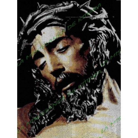 Christ in Color
